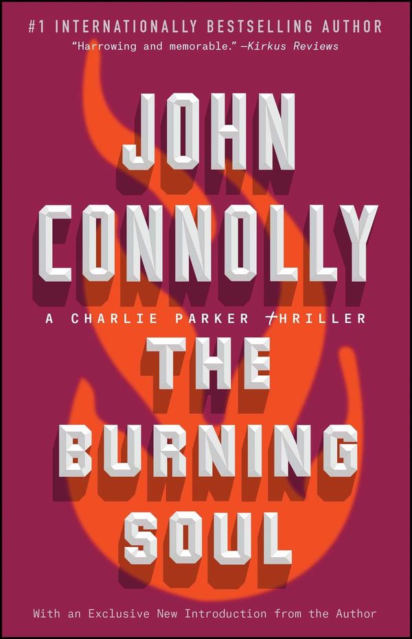 The Burning Soul Book Cover