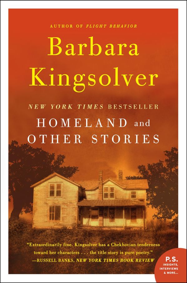Homeland Book Cover