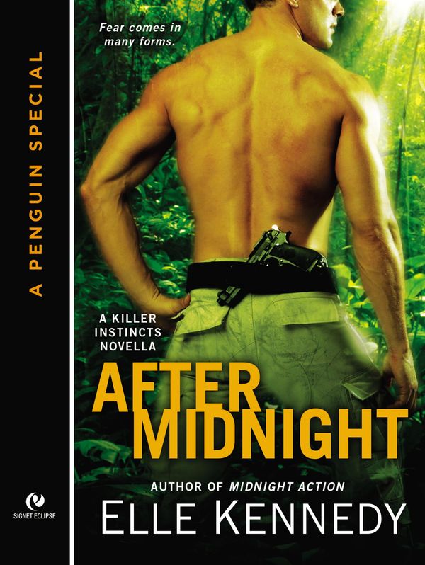 After Midnight: Book Cover