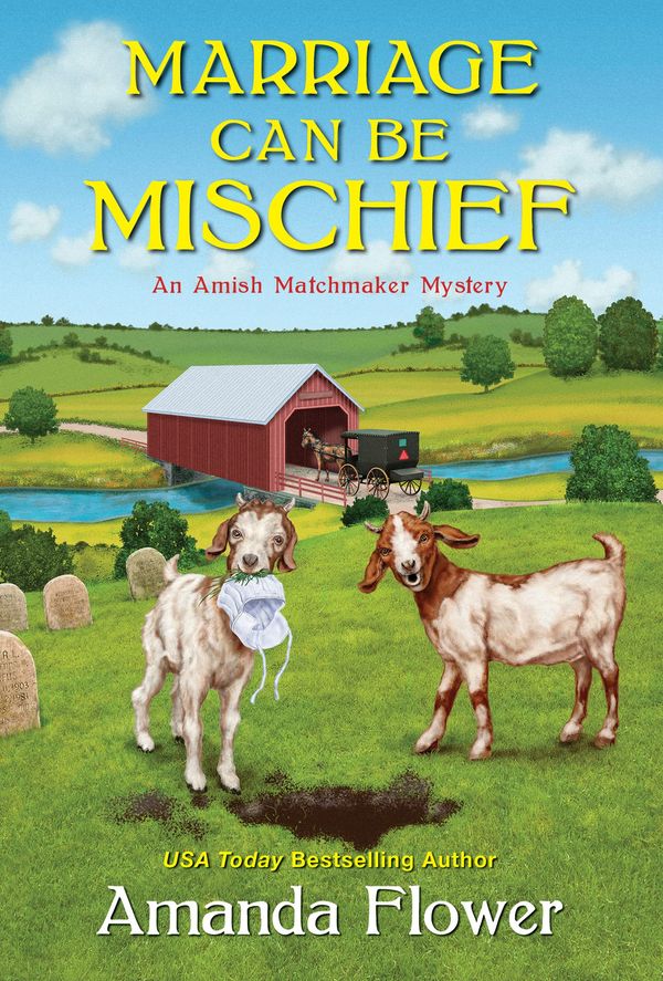Marriage Can Be Mischief Book Cover
