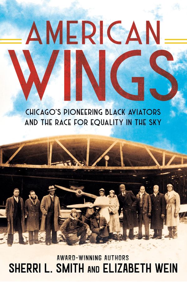 American Wings Book Cover