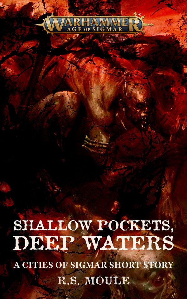 Shallow Pockets Deep Waters Book Cover