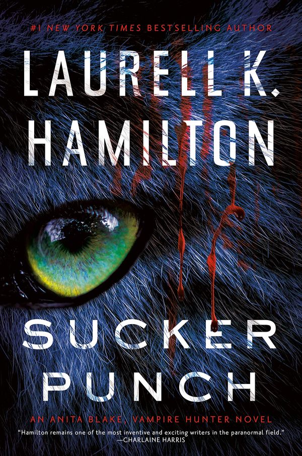 Sucker Punch Book Cover