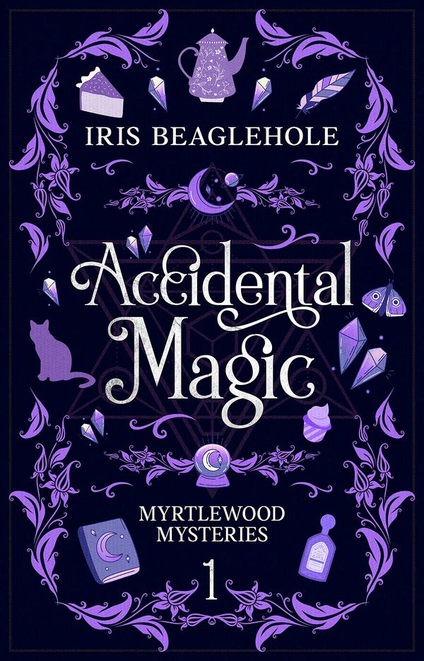 Accidental Magic Book Cover