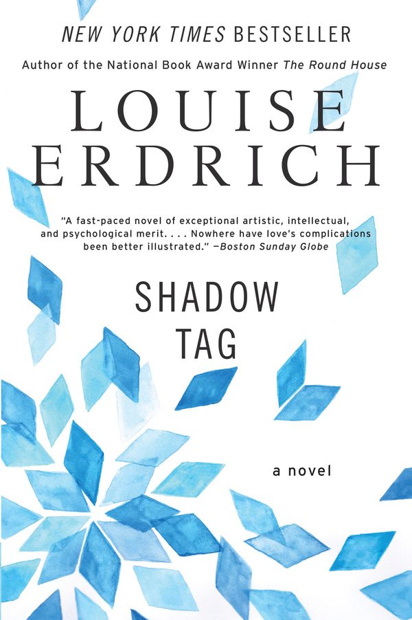 Shadow Tag Book Cover