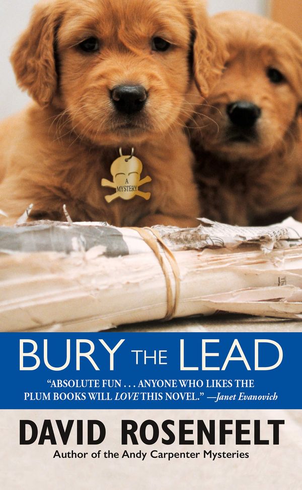 Bury the Lead cover