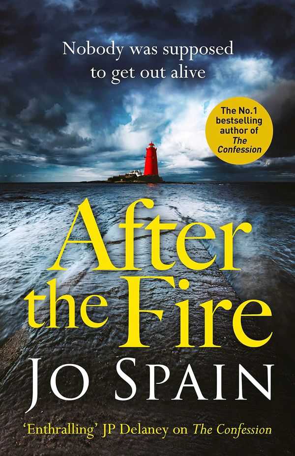 After the Fire Book Cover