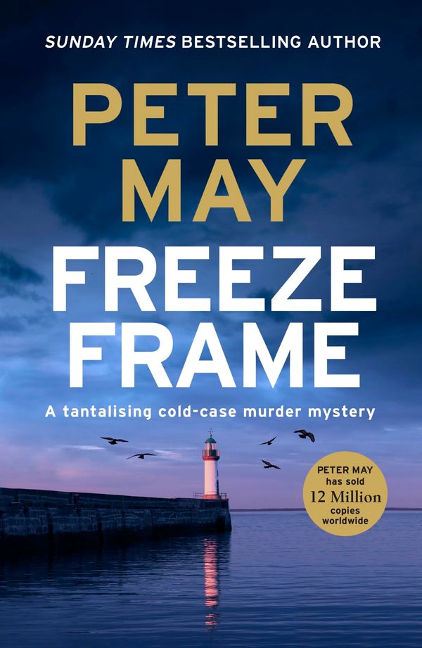 Freeze Frame Book Cover