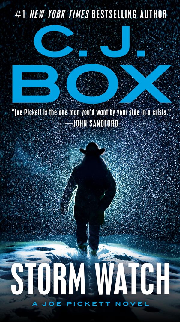Storm Watch Book Cover