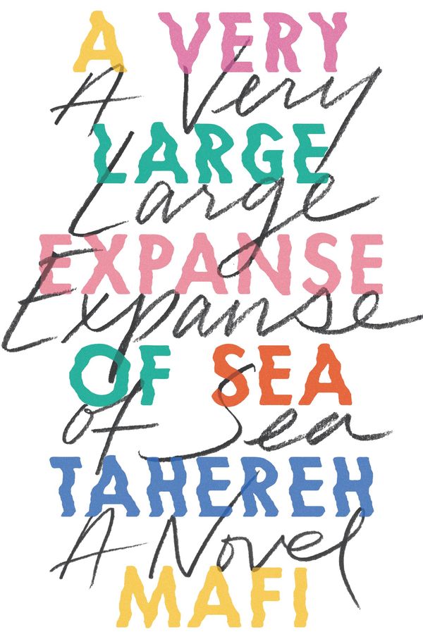 A Very Large Expanse of Sea Book Cover