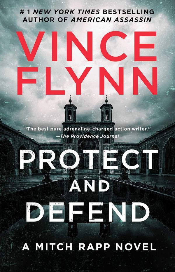 Protect and Defend Book Cover