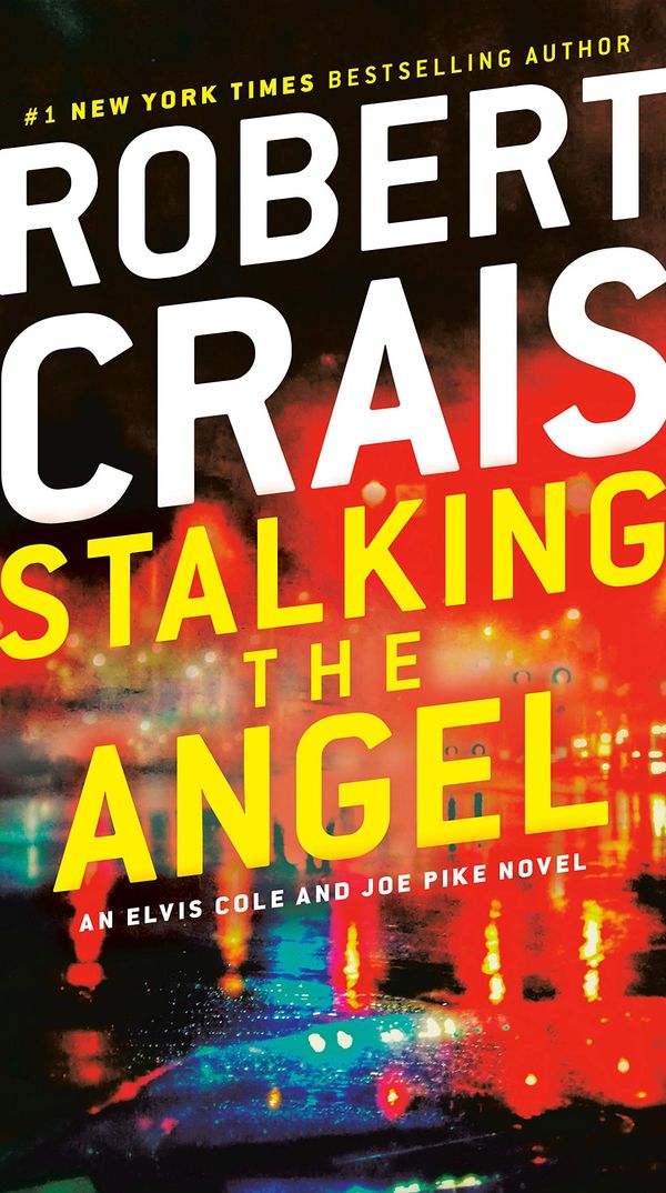 Stalking the Angel Book Cover