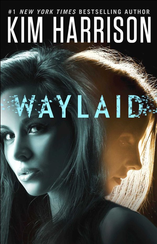 Waylaid Book Cover