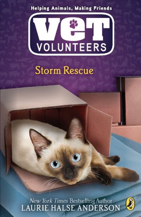 Storm Rescue Book Cover