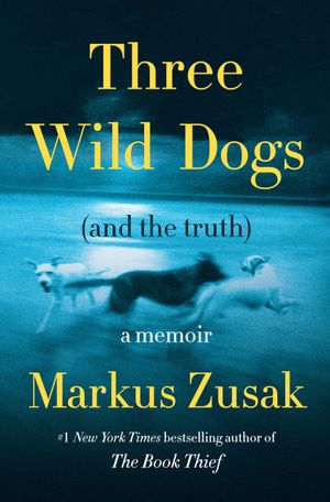 Recent book by Markus Zusak