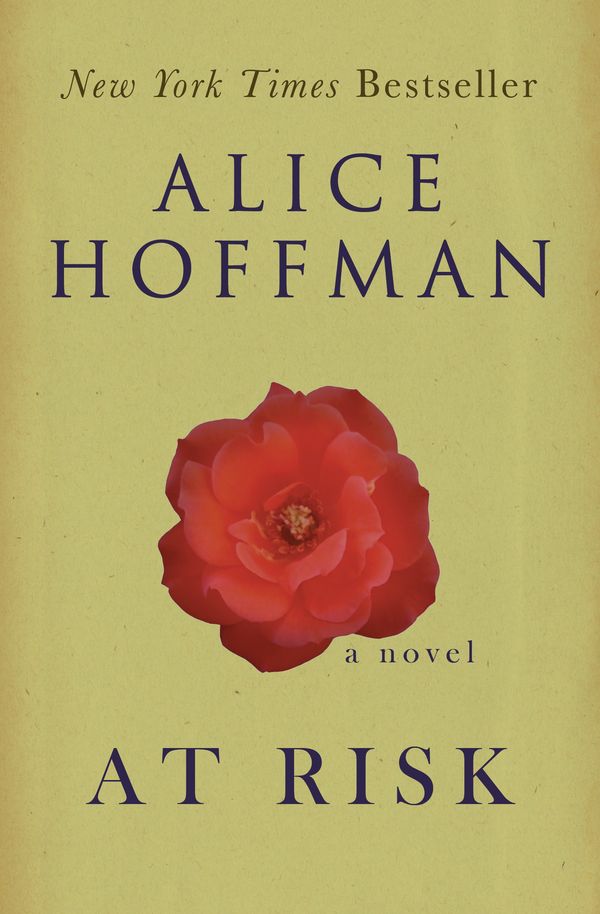 At Risk Book Cover