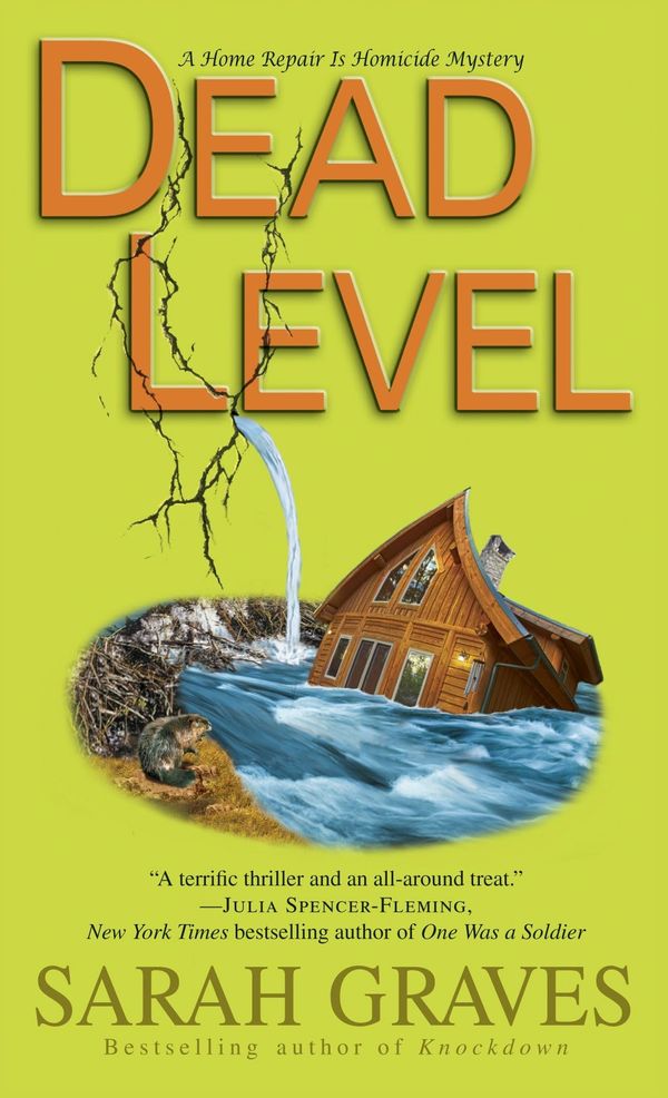 Dead Level Book Cover