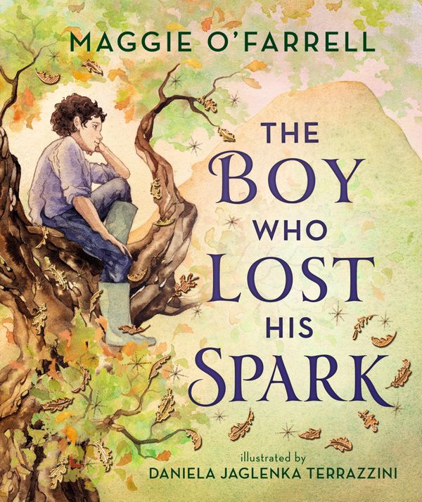 The Boy Who Lost His Spark Book Cover