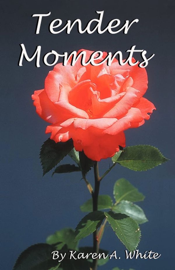 Tender Moments Book Cover