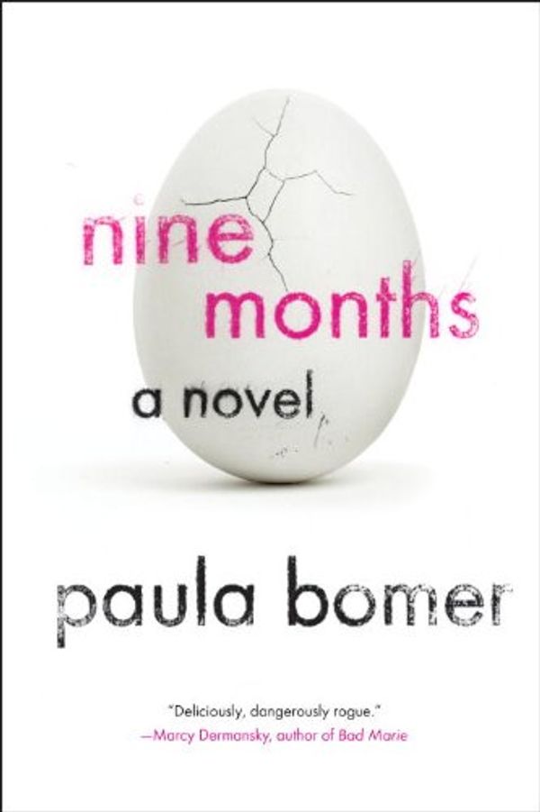 Nine Months Book Cover