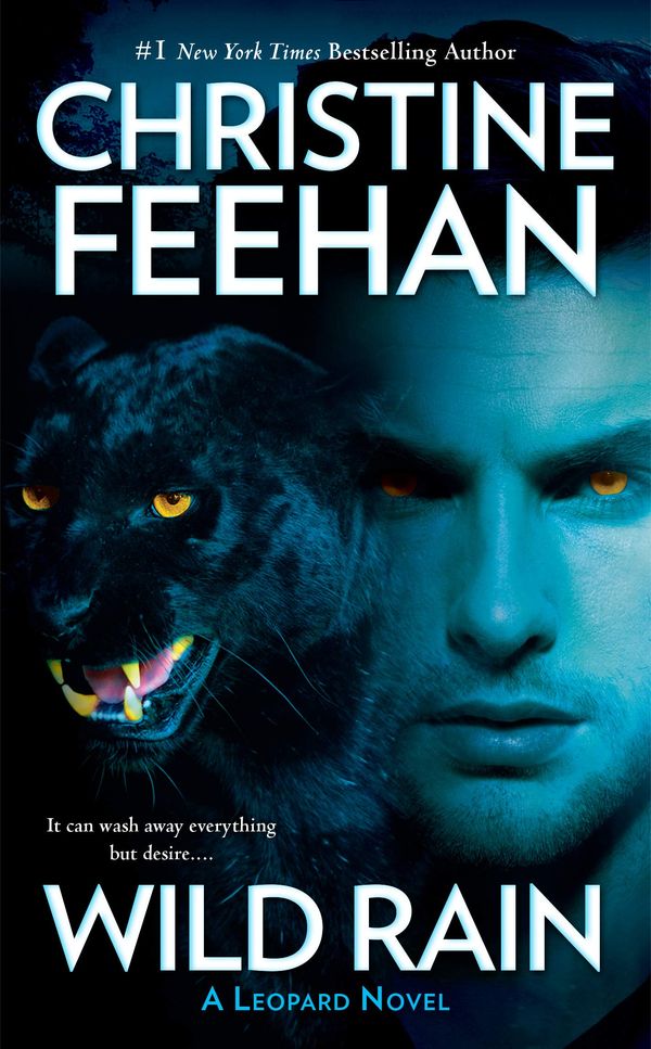 Wild Rain Book Cover