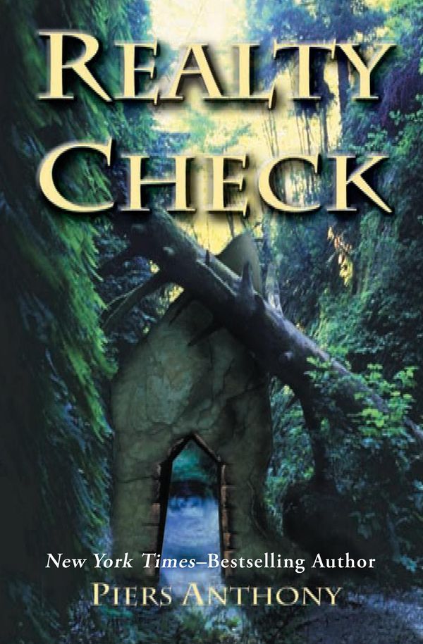 Realty Check Book Cover