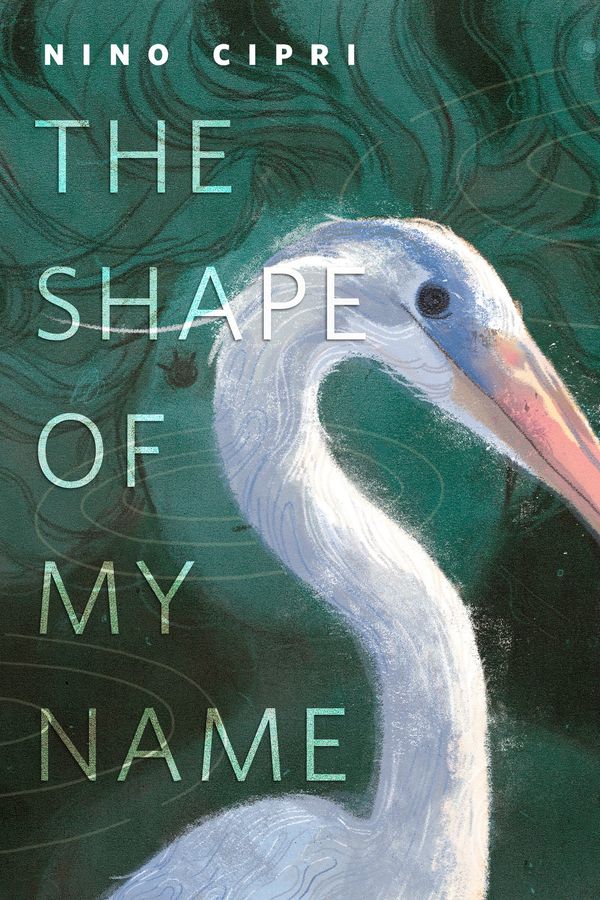 The Shape of My Name Book Cover