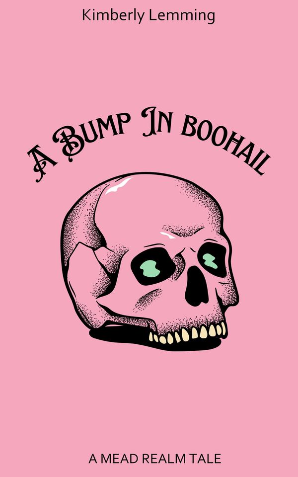 A Bump In Boohail Book Cover