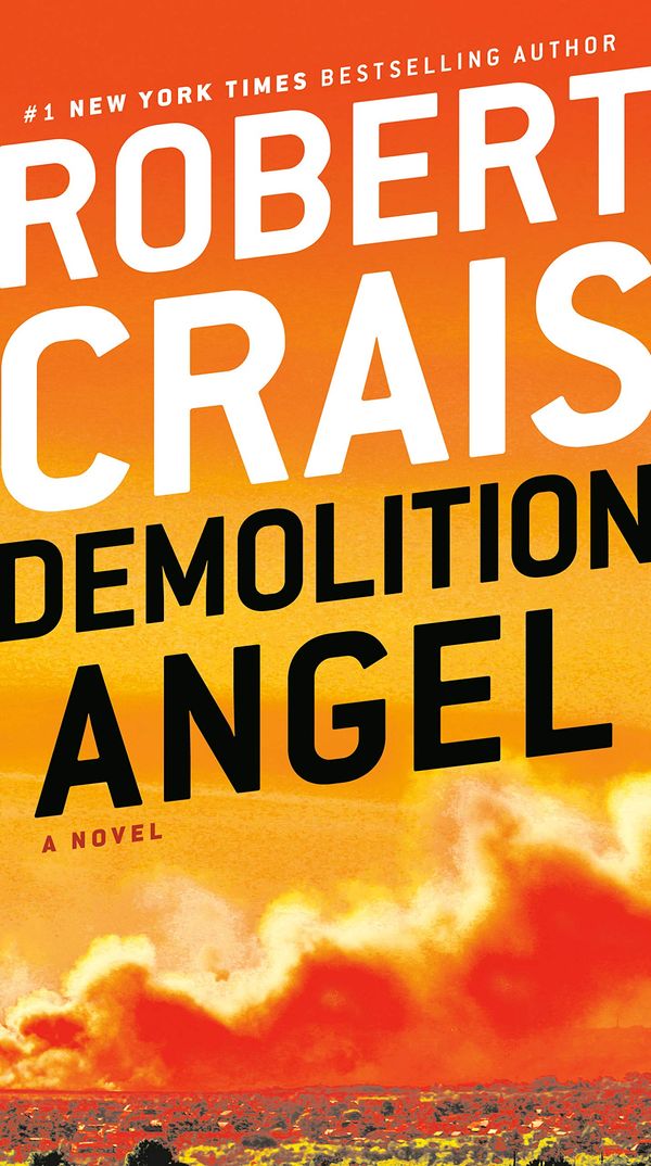 Demolition Angel Book Cover