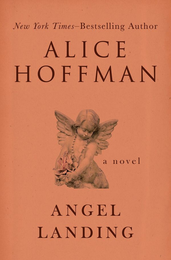 Angel Landing Book Cover