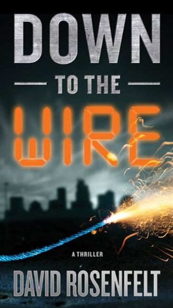 Down to the Wire Book Cover