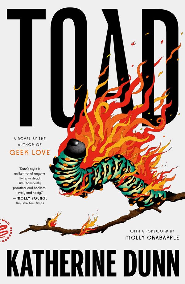 Toad Book Cover