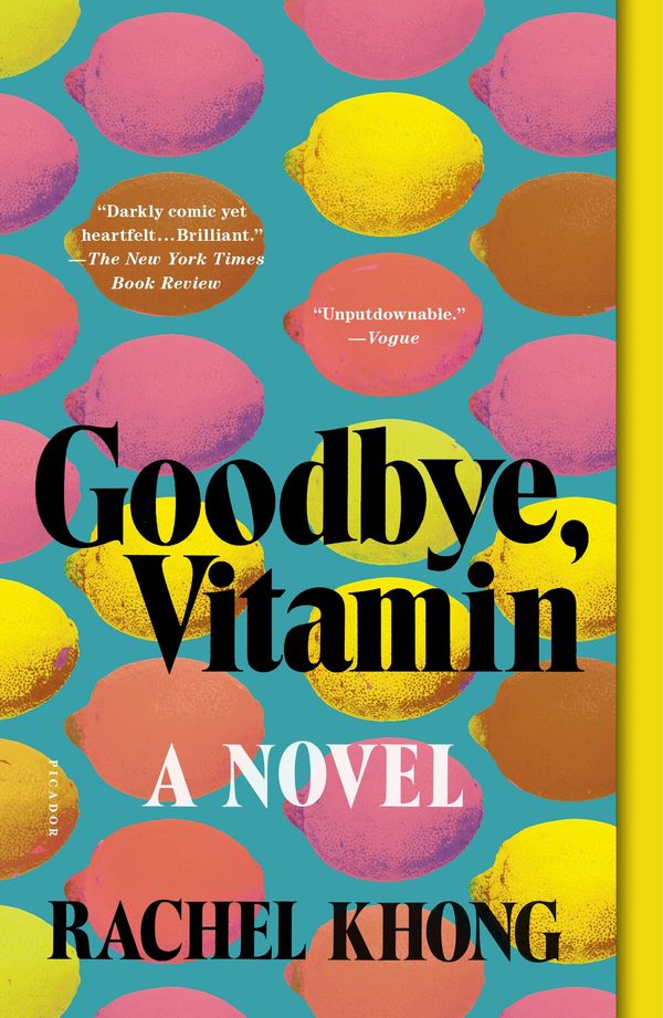 Goodbye, Vitamin Book Cover