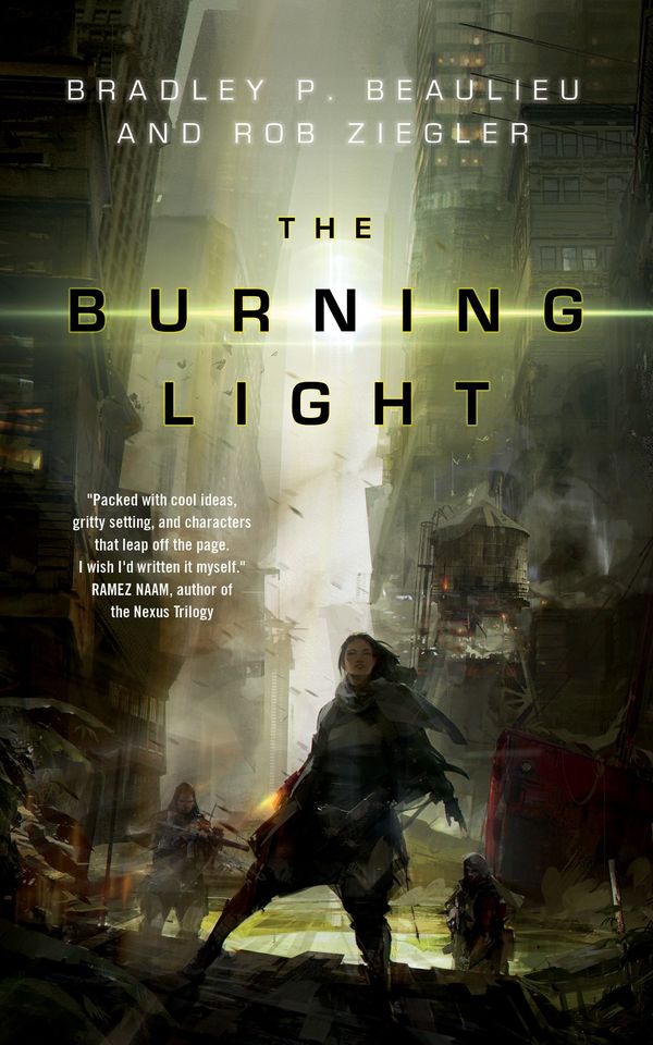 The Burning Light Book Cover