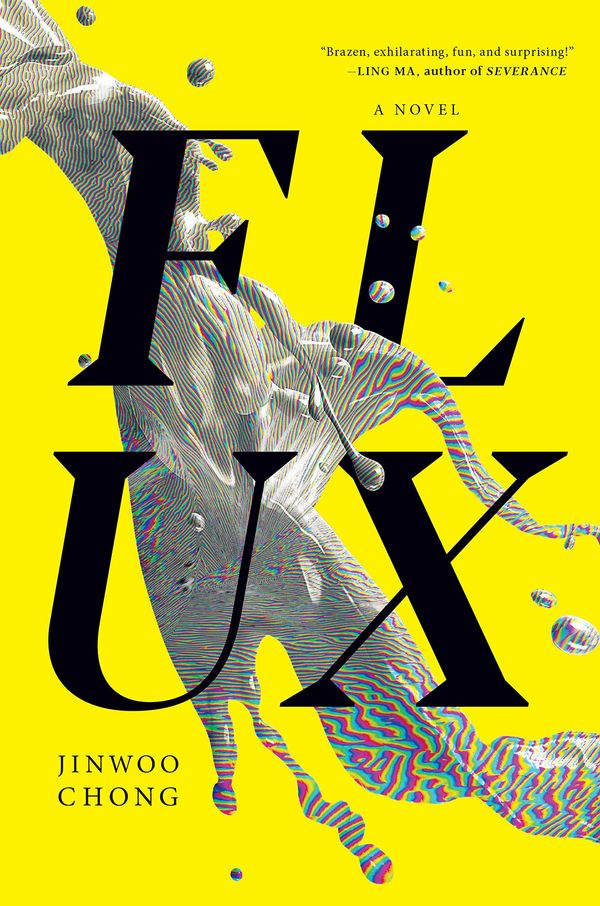 Flux Book Cover