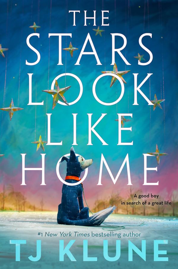 The Stars Look Like Home Book Cover