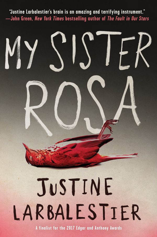 My Sister Rosa Book Cover