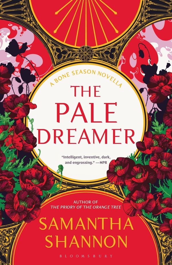 The Pale Dreamer Book Cover