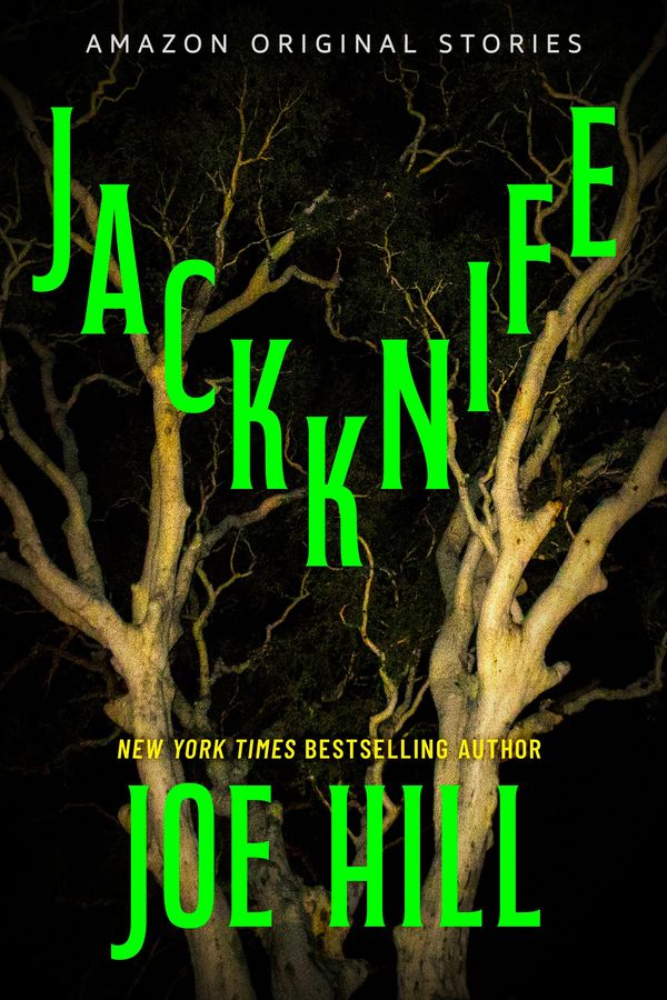 Jackknife Book Cover