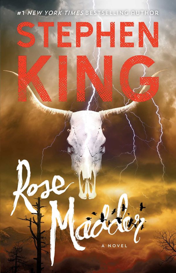 Rose Madder Book Cover