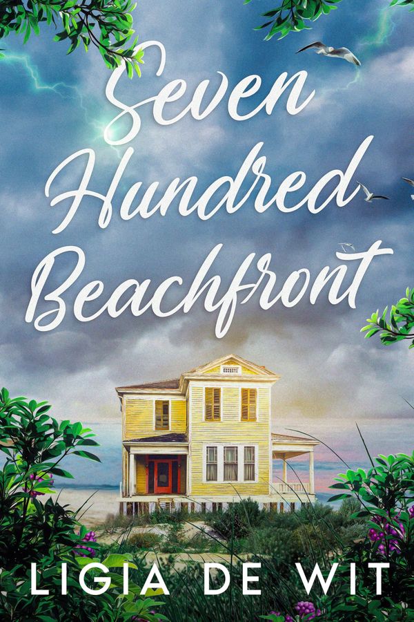 Seven Hundred Beachfront Book Cover