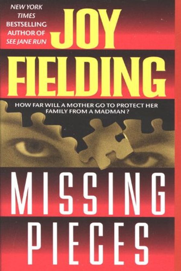 Missing Pieces Book Cover
