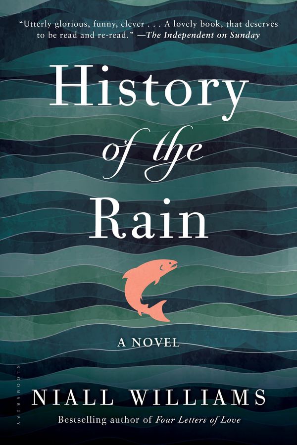 History of the Rain Book Cover
