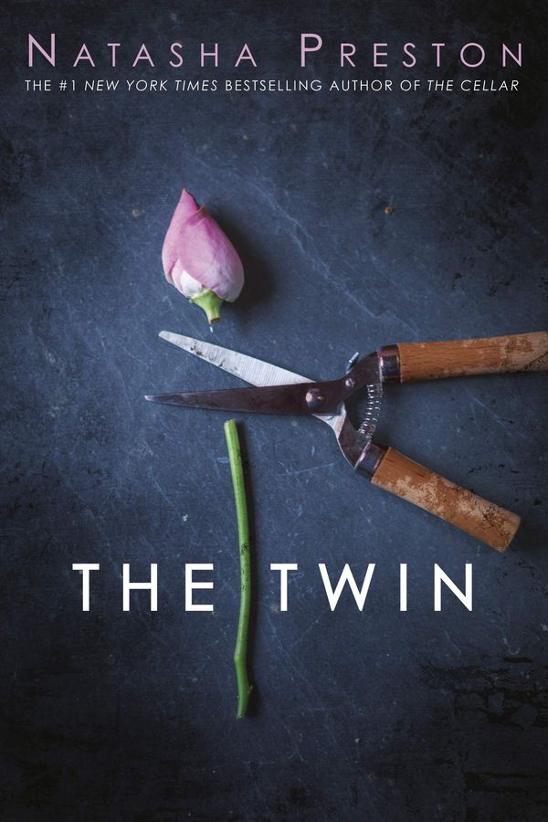 The Twin Book Cover