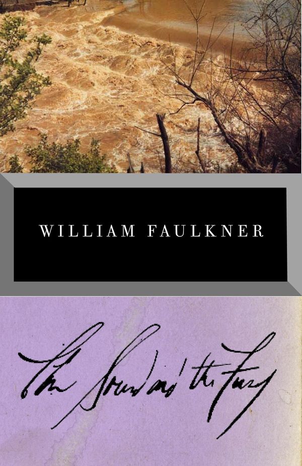 The Sound and the Fury Book Cover