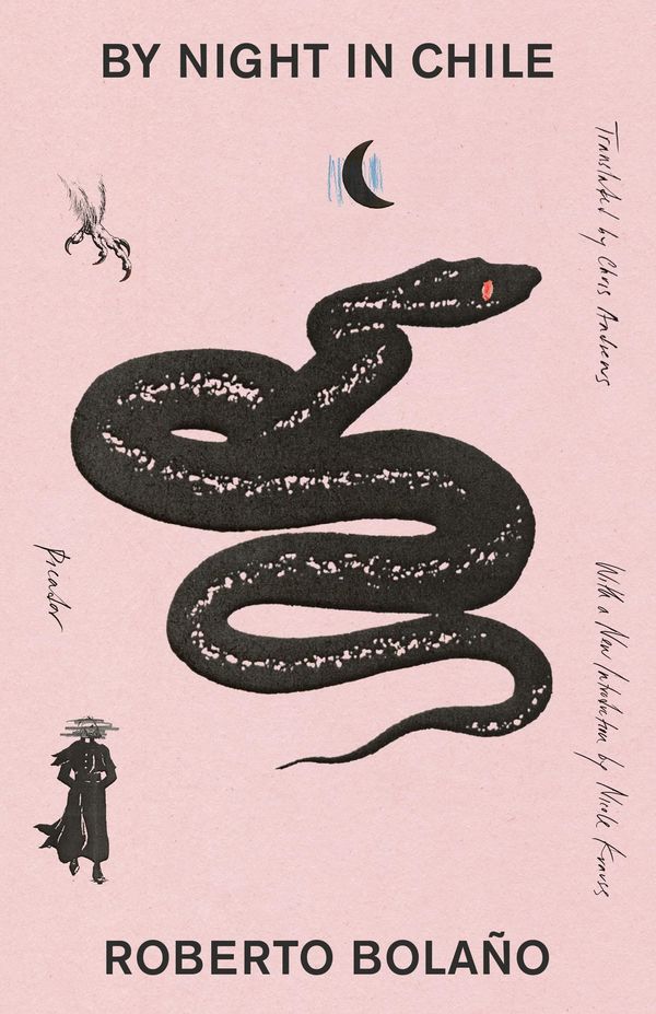 By Night in Chile Book Cover