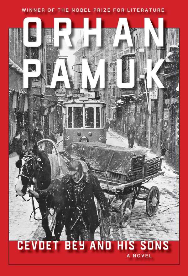 Cevdet Bey and His Sons Book Cover