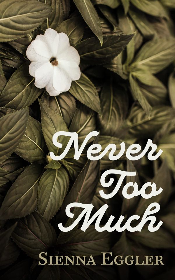 Never Too Much Book Cover