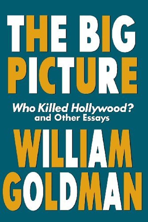 The Big Picture Book Cover