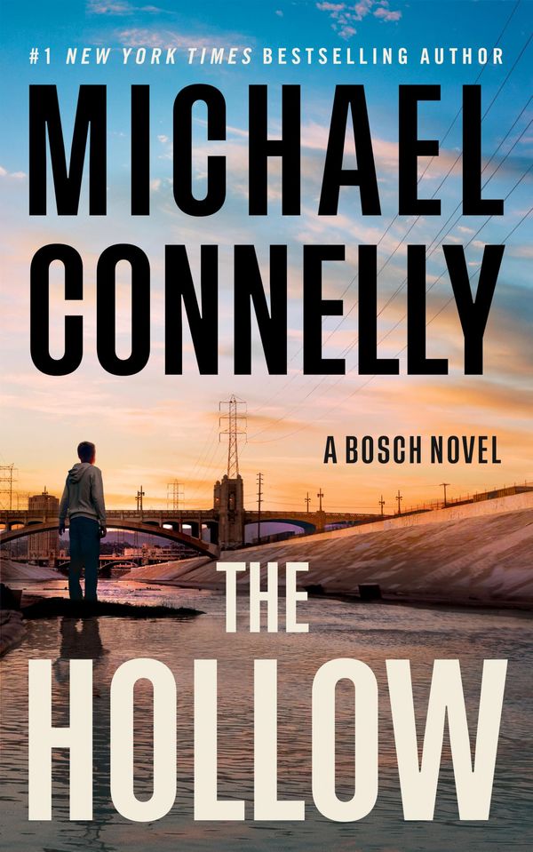 The Hollow Book Cover